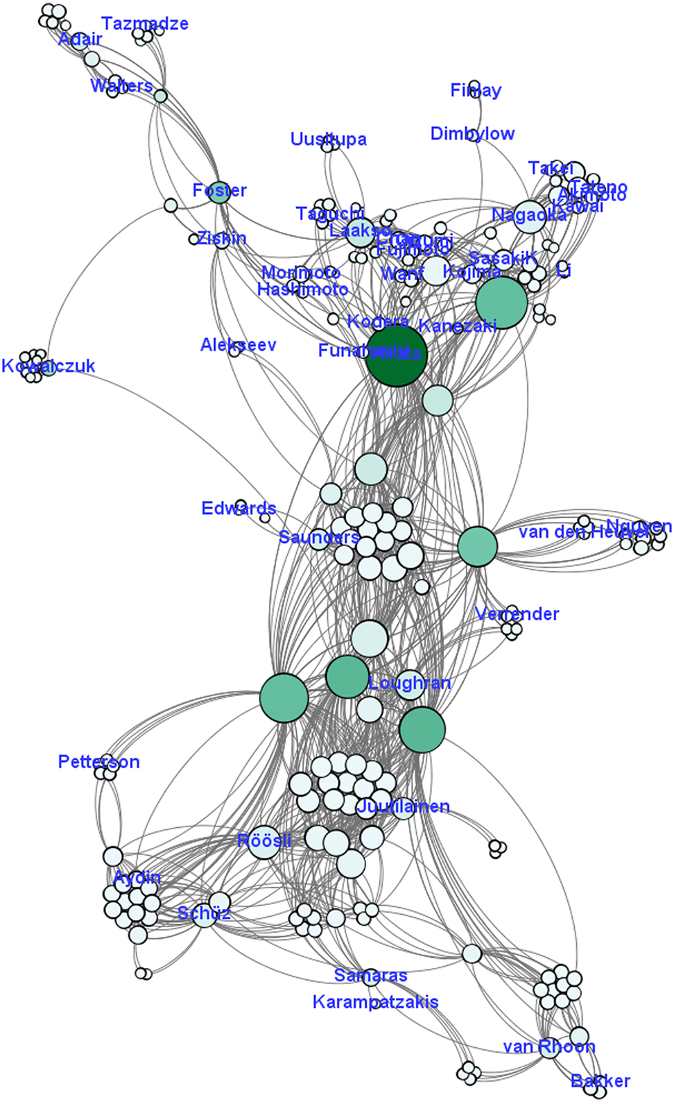 Figure 6: 
The first authors’ positions in the outskirts of the ICNIRP co-authorship network.
This figure shows that the majority of the first authors’ have peripheral positions in the network. Compare with Figure 2, showing the ICNIRP affiliates’ central positions.
