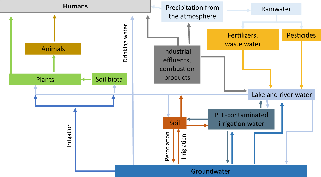 Figure 3: 
Major pathways of PTEs in the environment (adapted from [9]).
