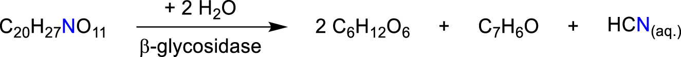 Scheme 5: 
Hydrolysis of the glycoside amygdaline leading to hydrocyanic acid (Williams, 1915).
