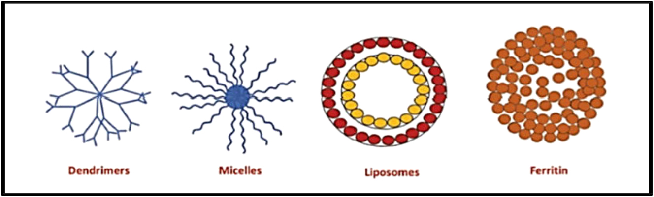 Figure 1: 
Different type of structure of organic nanomaterials. Copyright from John Wiley & Sons. Carbon-based Nanomaterials.
13


