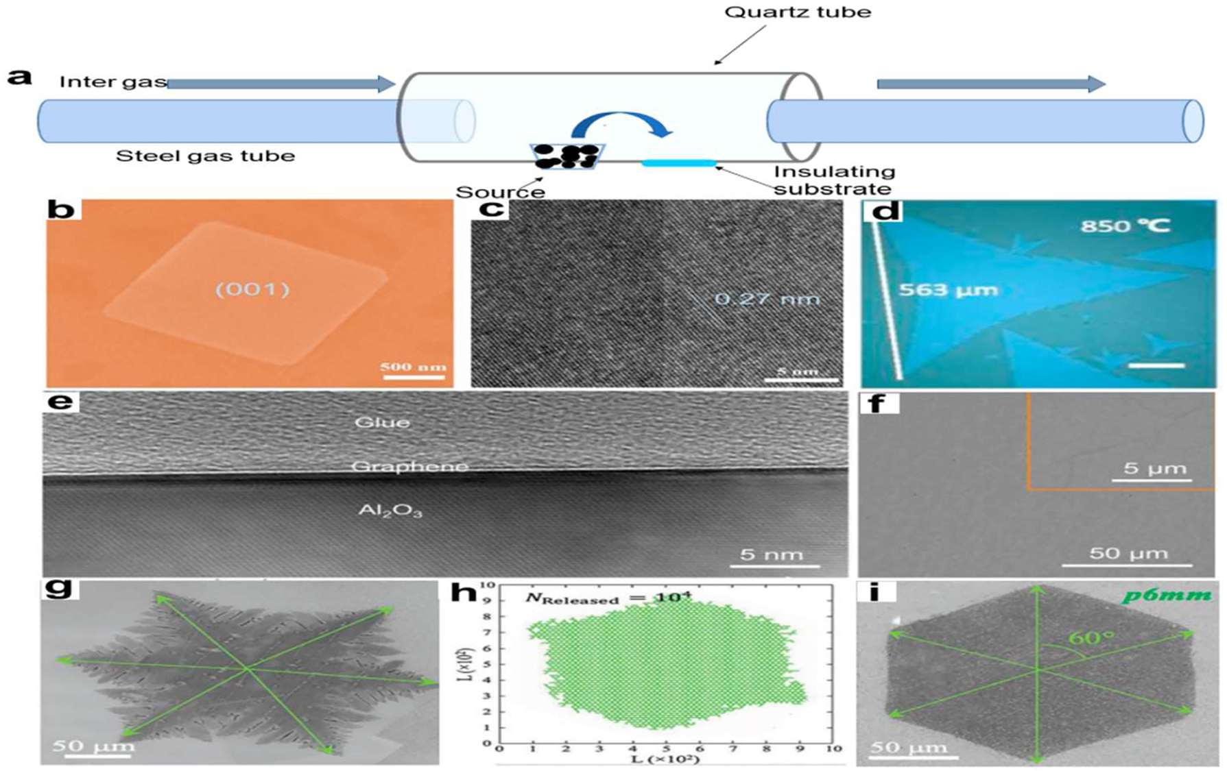 Figure 9: 
CVD process for 2D NMs. (a) A representation of the CVD mechanism. (b) A 2D BiOBr flakes SEM picture. (c) 2D BiOBr flakes HRTEM picture.
74
 Journal of Materials Science & Technology, copyright 2020. (d) Substantial solitary-crystal monolayer MoS2 optical picture. Bar scale: 100 µm.
75
 2018 Applied Physics Letters All rights reserved. (e) Comprehensive cross-sectional transmission electron microscopy picture of sapphire-grown graphene. (f) Typical sapphire-based graphene as-grown SEM picture. The high-magnification SEM picture of graphene is seen in the inset.
76
 Science Advances, Copyright 2021. (g) CVD-synthesized common-shaped graphene (scale bar: 50 µm). (h) A 2D-DLA simulation pattern using the quasi-3D-release mode, allowing the simulation output to show any defects. (i) A perfect hexagonal graphene domain with a scale bar of 50 µm was created using a greater H2/CH4 ratio.
77
 Advance Materials Copyright 2019.
