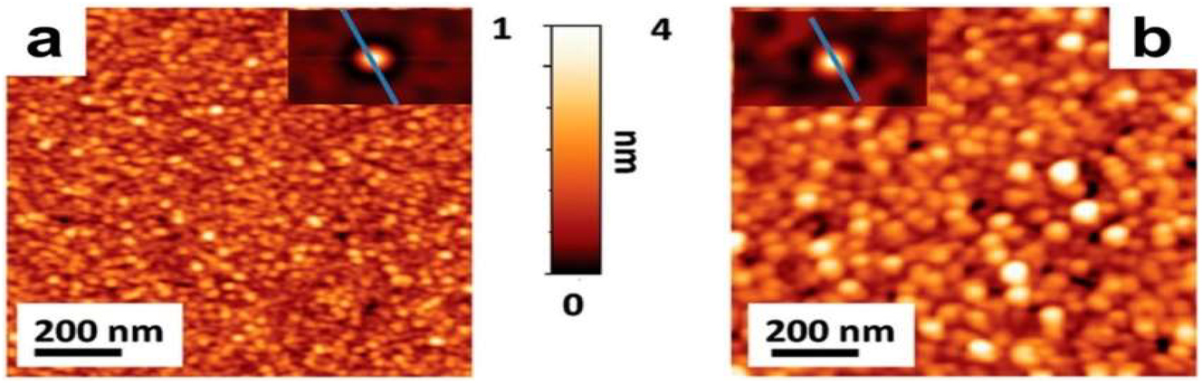 Figure 12: 
AFM topographic maps of (a) 4.0 nm thick ALD film precursor and (b) four MoS2 layers. The insets show the self-correlation functions calculated from the corresponding topographies.
93
 Copyright from (2016), Advanced Electronic Materials.
