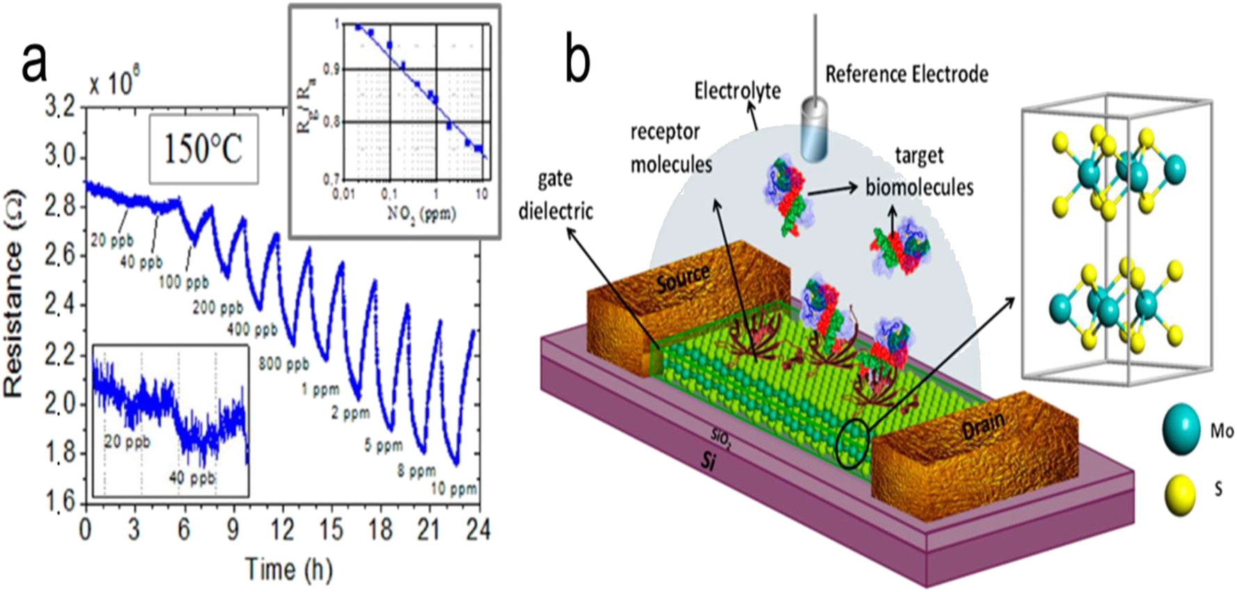 Figure 14: 
Biosensing of 2D NMs. (a) How GO reacts when the concentration of NO2 is increased at 150 °C. The main panel displays the device resistance as a function of time. The detection limit range is zoomed-in in the bottom-left inset. Sensitivity curve, top-right inset.
104
 Copyright 2013, American Chemical Society. (b) Medical biosensor based on molybdenum disulfide field-effect transistor (FET) schematic.
110
 Copyright 2014, ACS.
