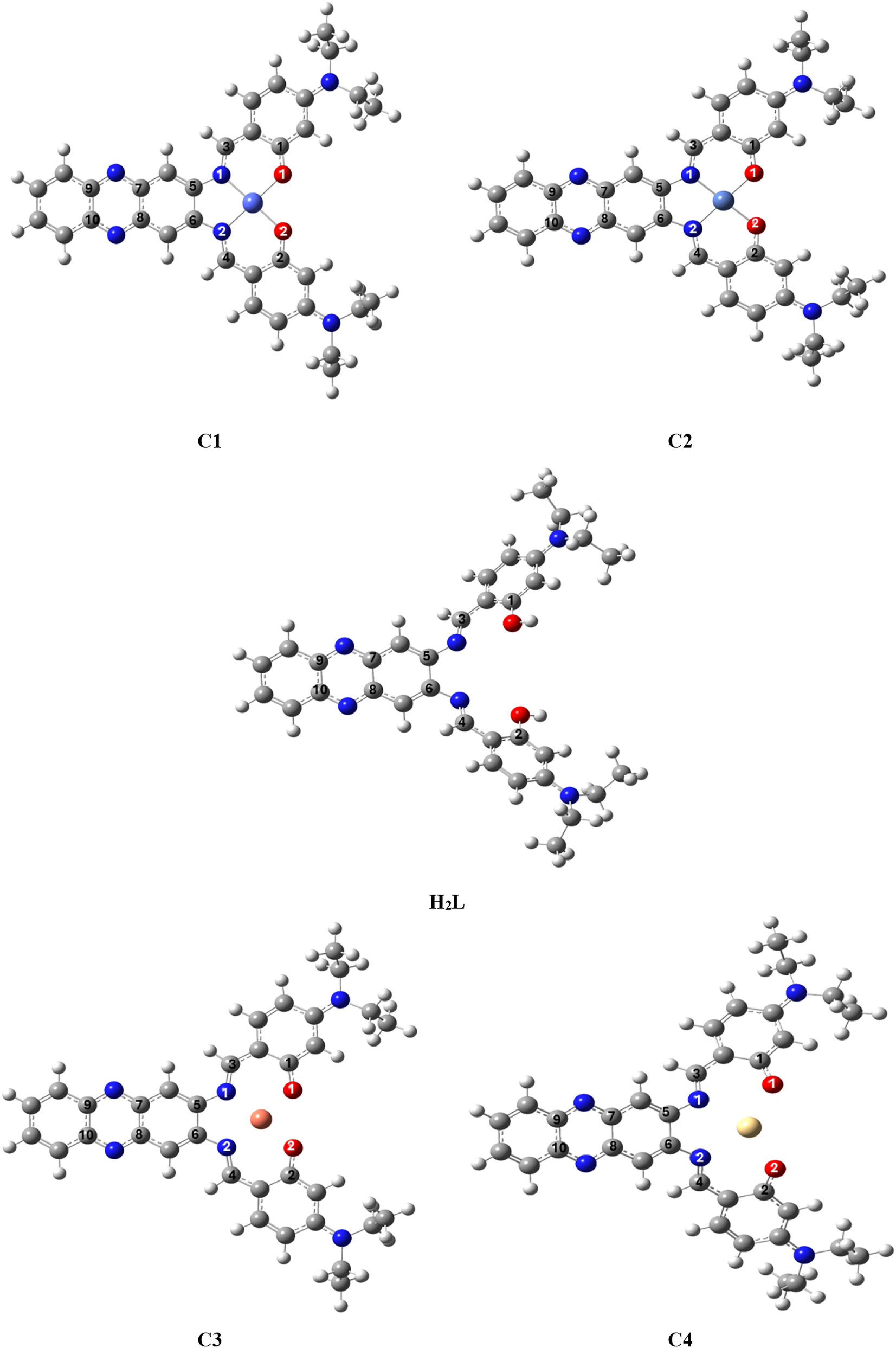Figure 4: 
The optimized conformations of H
2
L and C1, C2, C3 and C4.