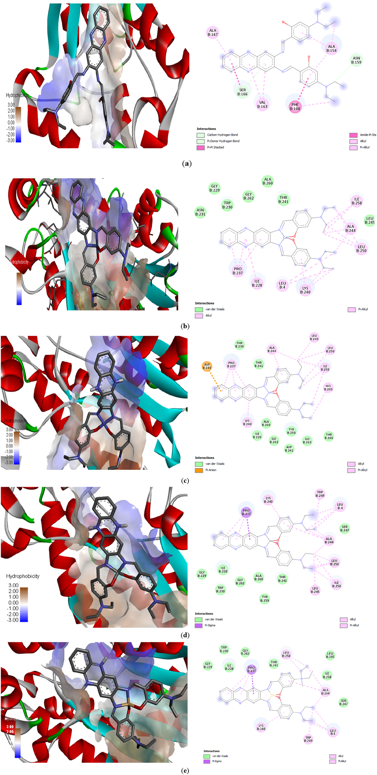 Figure 11: 
Predicted position of (a) H
2
L; (b) C1; (c) C2; (d) C3; (e) C4 from docking analysis and binding interactions with amino acids.