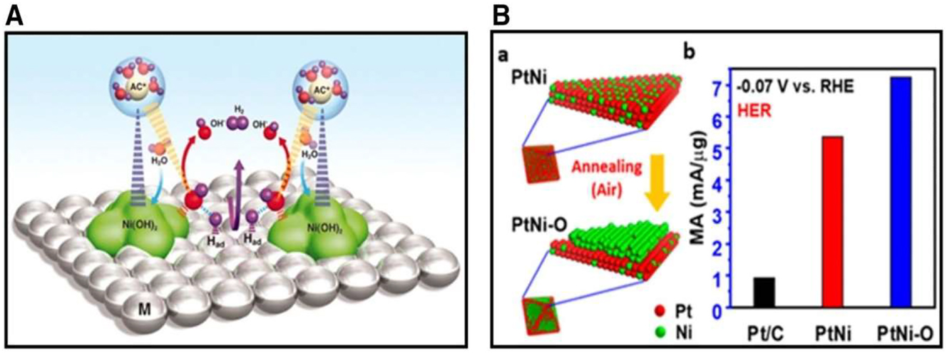 Figure 10: 
Mechanism of electrocatalysis in HER. (A) Depiction of the nanoscales mechanism of the HER process Ni(OH)2 on the surface of a Pt electrode, (B) annealing PtNi/C to PtNi/–O/C using air with HER mass activities 0.07 versus HER causes illustrations. Copyright from Advance Material (2019).
