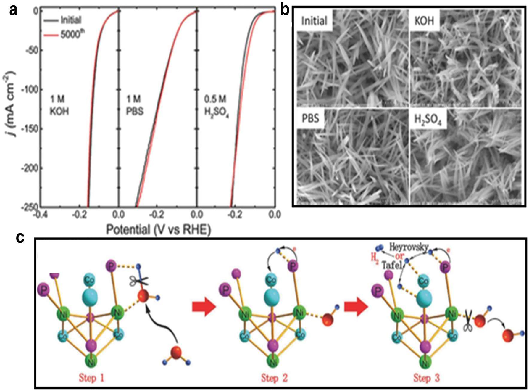 Figure 15: 
Shows the NiCo2P
X
 catalyst in action: (a) The catalytic reaction (HER) in 1 M KOH, PBS, and 0.5 M H2SO4; (b) scanning electron micrographs taken before and after the HER long-term stability test in various media; and (c) a simplified representation of the water dissociation process on NiCo2P
X
 in an alkaline solution, as described in reference.
63
 Copyright from Advance Material (2017).
