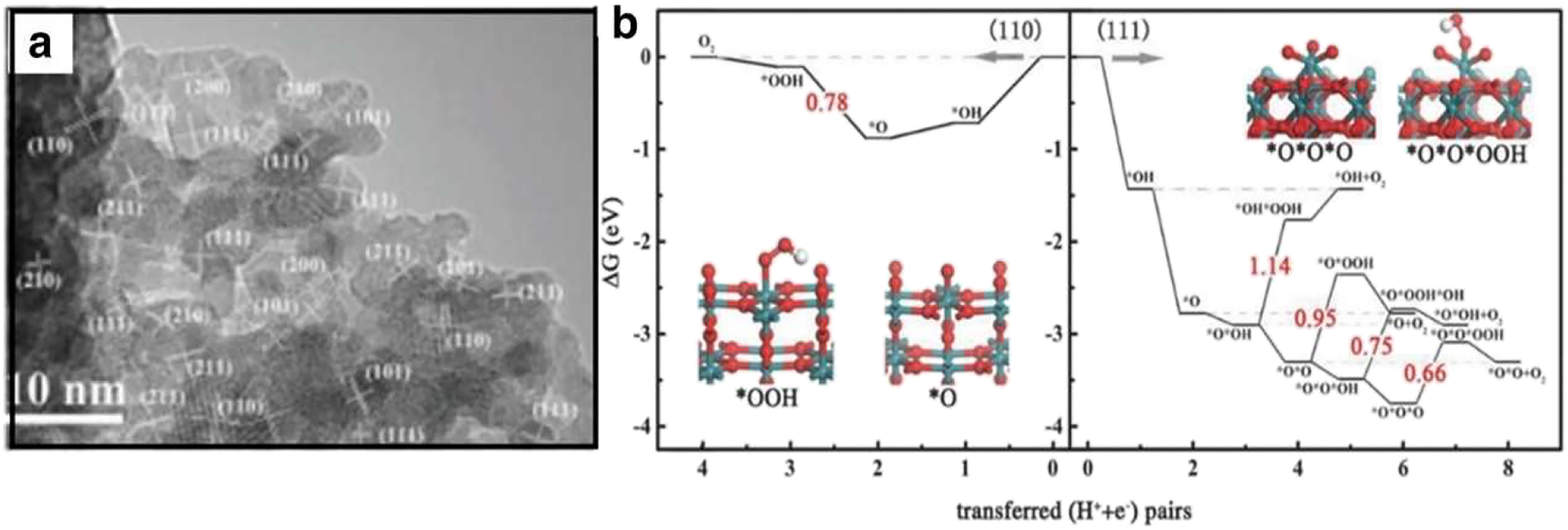Figure 18: 
Electrocatalysis of nobel metals. (a) Shows a high-resolution transmission electron microscopy (HR-TEM) image of Cu-doped RuO2 showing raised surface features, and Figure 10(b) shows the free energy profile of optical emission spectra (OER) on surfaces (110) and (111) according to reference.
90
 Copyright from Advance Materials (2018).
