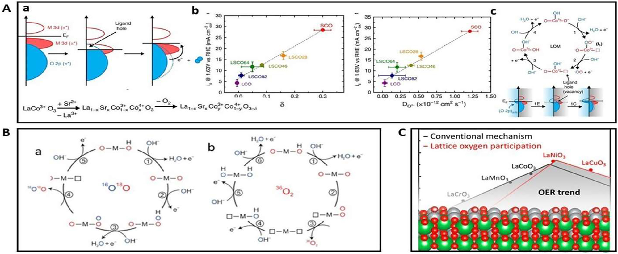 Figure 23: 
A depiction of the oxygen vacancy concentration and the covalency of the CO bond (a). (b) The CO2 vacancies, oxygen diffusivity, and OER activity are associated. (c) Copyright from Natural Communication (2016) for the predicted LOM approach. A likely B OER pathway that releases (a) 34O2(16O18O) and (b) 36O2(18O18O) via coordinated proton-electron transfer on oxygen sites
70
 credit from Natural Chemistry (2016). C for OER on certain perovskites including AEM and LOM, a volcano strategy is proposed.
74
 Copyright from ACS Catalysis (2018).
