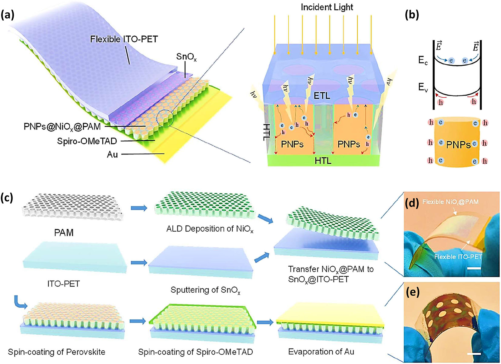 Figure 9:
Structure, fabrication, and implementation of PNP-based solar cells. (a) Complete structure diagram and cross-sectional schematic diagram of PNP-based solar cells. (b) The schematic band structure of the PNP crystal surface showcases the formation of a built-in electric field. (c) A schematic illustration depicting the fabrication procedure for PNP-based devices. (d) Photographs showing the implementation of NiOx-coated PAM (NiOx@PAM) on the SnO2-coated ITO-PET (SnO2@ITO-PET) and (e) the complete device.
143