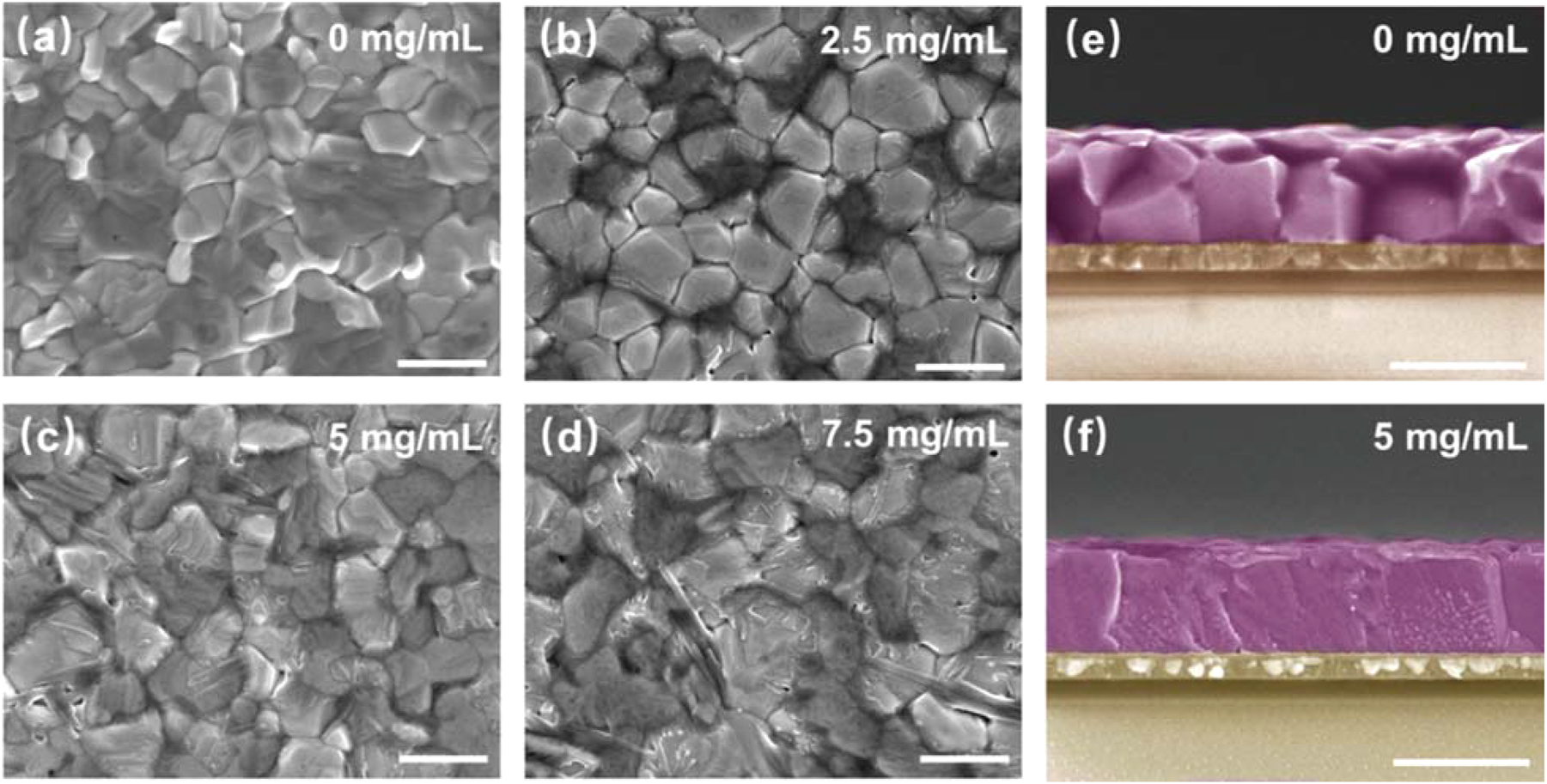 Figure 11:
Morphological analysis of TFPhFACl-treated and untreated perovskite films with varying concentrations of TFPhFACl. (a–d) Morphology pictures of TFPhFACl-treated and untreated perovskite films. Perovskite films with varying amounts of TFPhFACl were photographed on their surfaces and in cross-section (e and f). The scale bar is 1 μm.