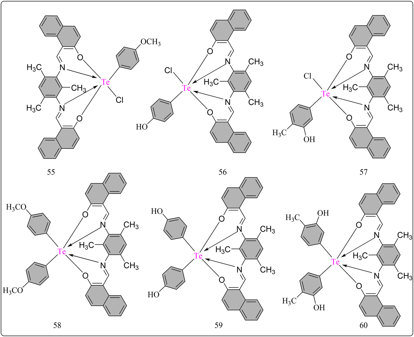 Figure 4: 
Structural representation of L10 ligand based hexa-coordinated Te(IV) complexes.
