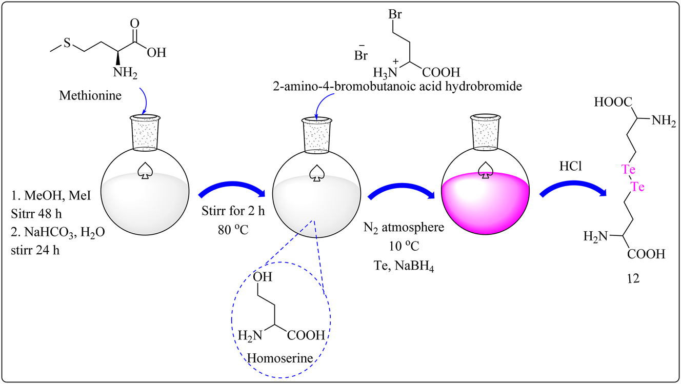 Scheme 4 (B): 
Methodology for the synthesis of ditelluride amino acid complex 12.
