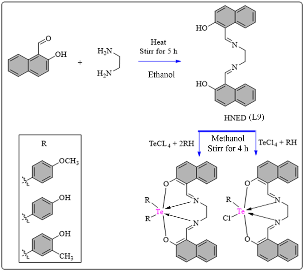 Scheme 10: 
Methodology for the synthesis of HNED Schiff base ligand and Te complexes.
