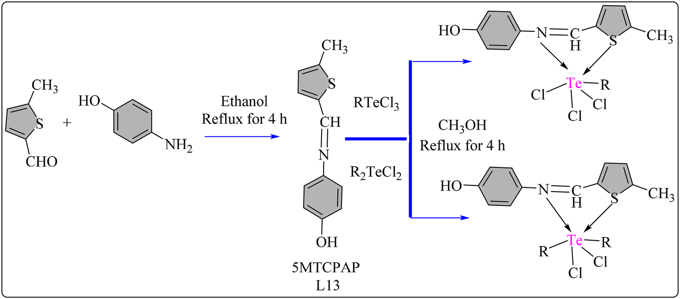 Scheme 13: 
Methodology for the synthesis of L13 ligand and its Te complexes.
