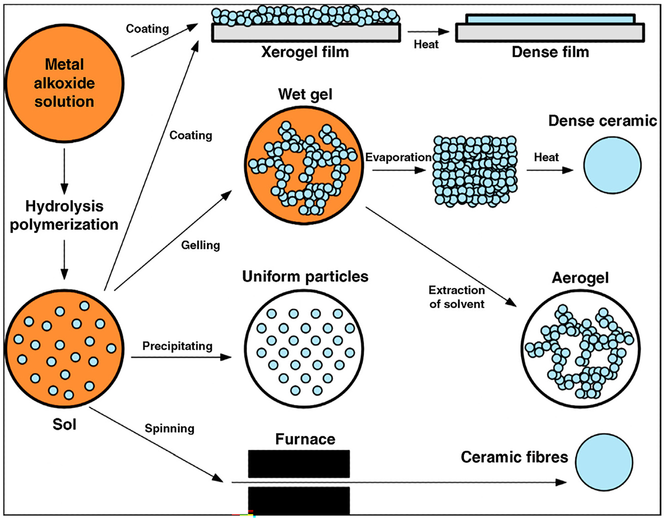 Figure 2: 
Schematic representation of the different stages and routes of the sol–gel technology.
29

