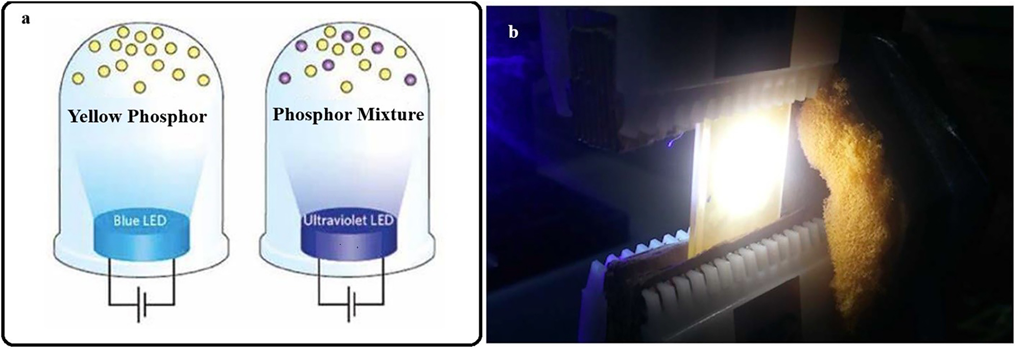 Figure 6: 
Solid state lighting materials. a) Light emitting of phosphor material under blue LED, and ultraviolet LED. b) Laser-activated remote phosphor system for generation of white light.
66

