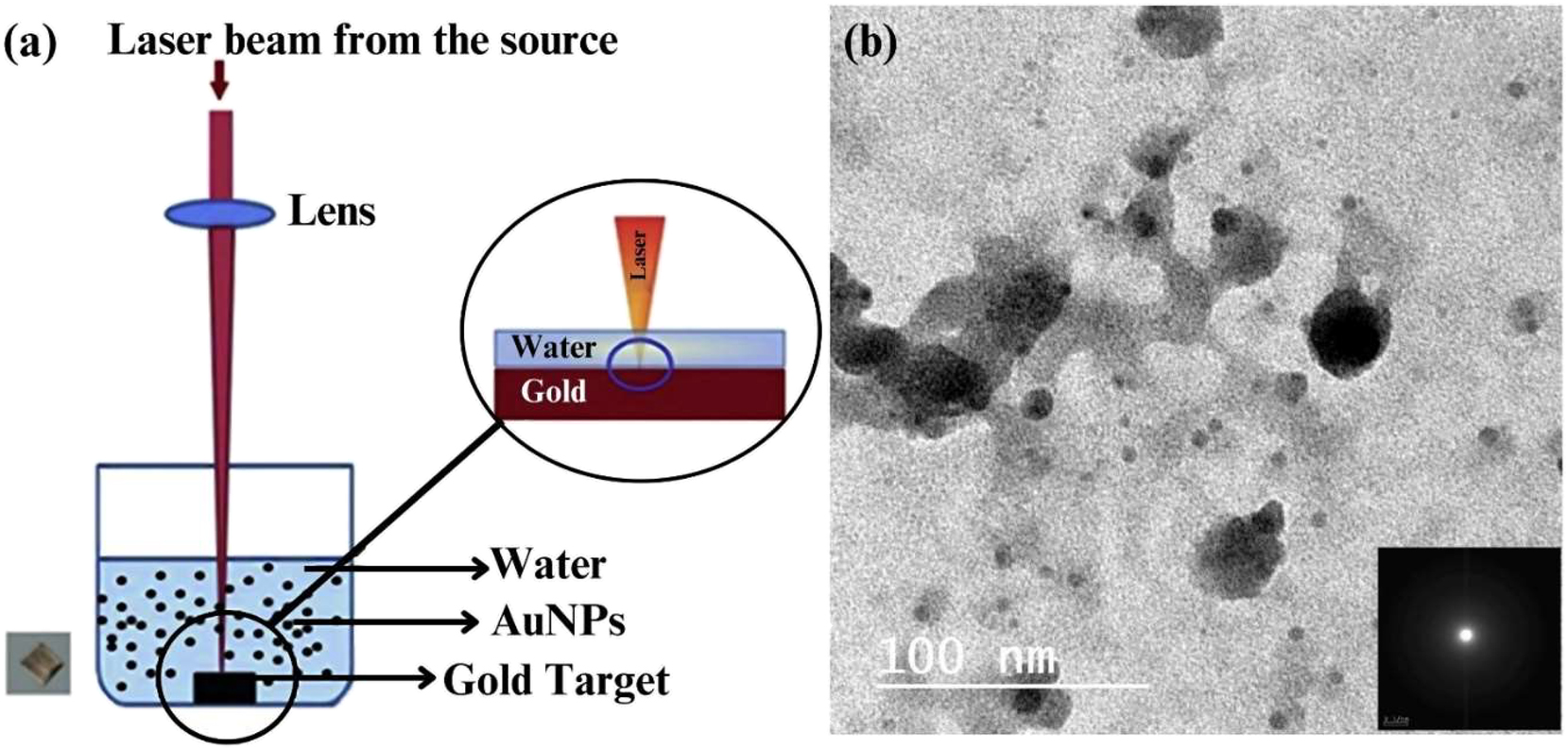 Figure 2: 
LAL synthesis AgNPs. (a) Schematic illustration of a typical water-submerged ablation system which is commonly utilized for synthesizing AuNPs
48
 and (b) TEM images of AuNPs generated using a submerged laser ablation system using CS/PVA as the liquid medium. Adapted from ref. 49].
