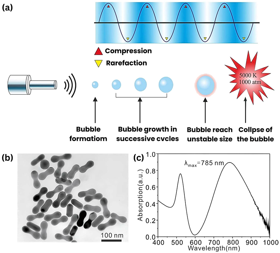 Figure 4: 
Chemical method synthesis AuNPs. (a) The process of the ultrasonic radiation that is used to generate acoustic signals for the synthesis of AuNPs. Reprinted from ref, 59]. (b) TEM image of synthesized Au nanodumbbells; and (c) UV–vis spectral analysis of Au nanodumbbells, indicating the size-dependent optical properties of AuNPs. Adapted from ref. 66].
