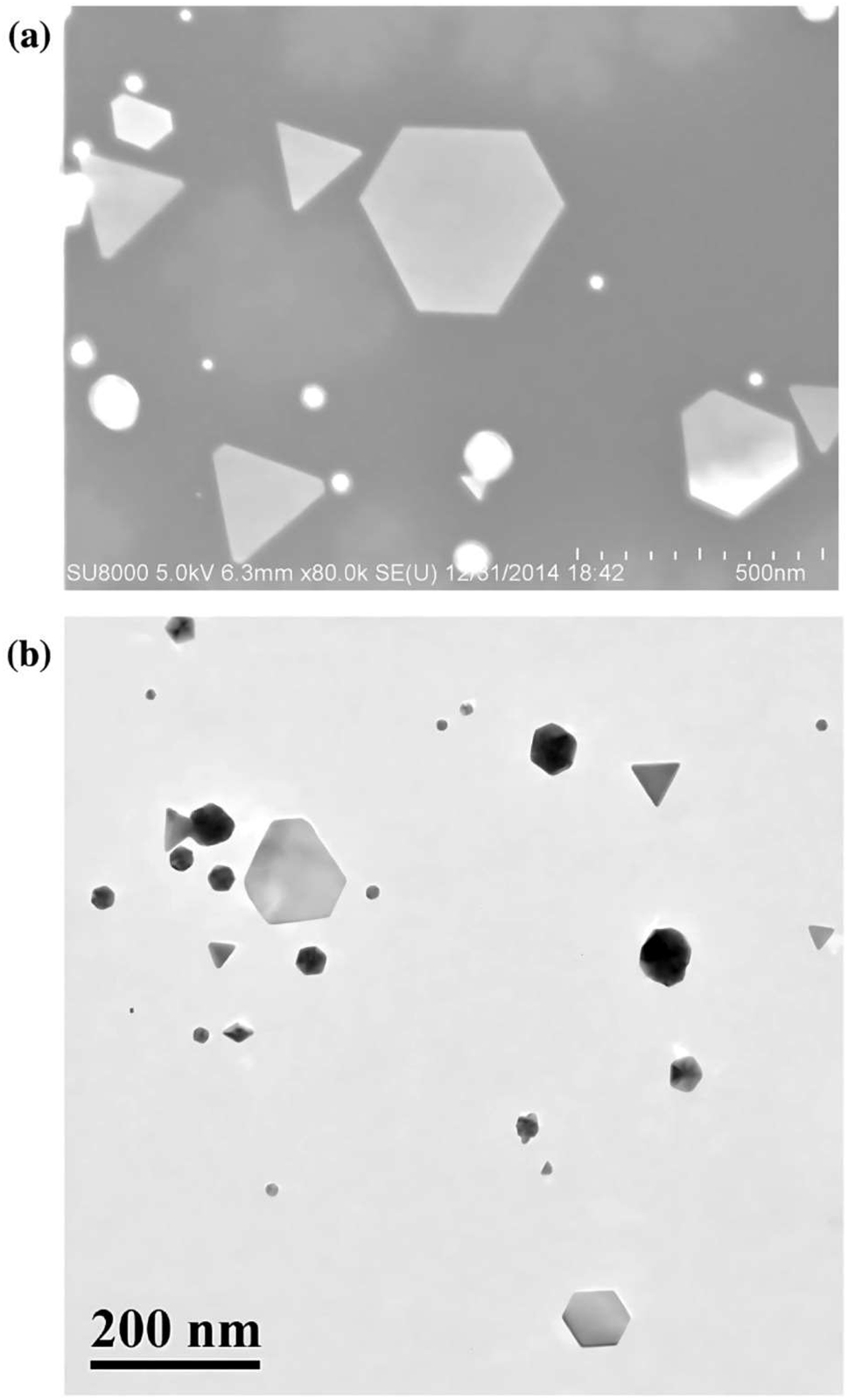 Figure 10: 
The SEM (a) and TEM (b) images of synthesized AuNPs by Magnusiomyces ingens LH-F1 yeasts. Adapted from ref. 91].
