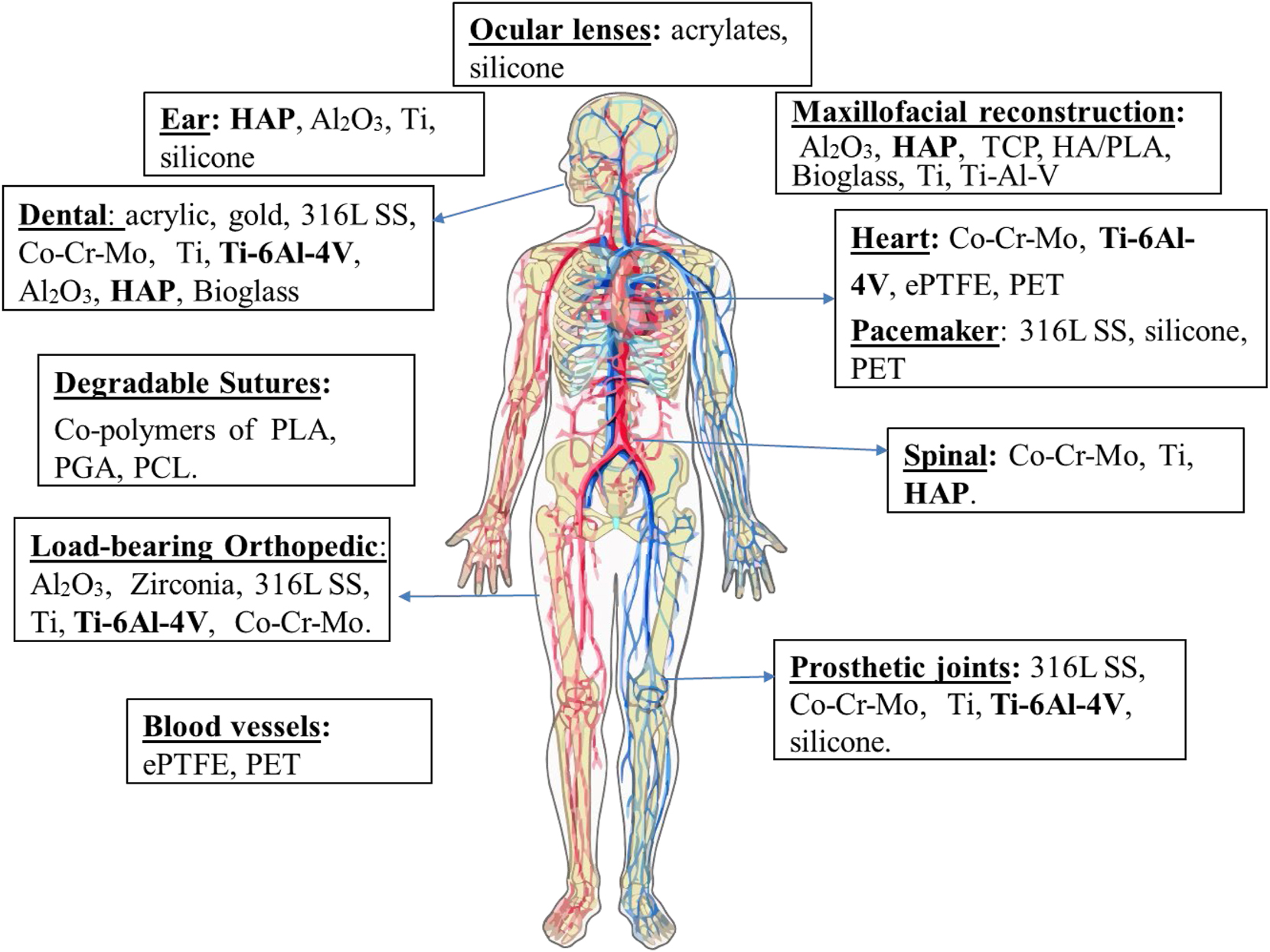 Figure 23:
Applications of biomaterials.