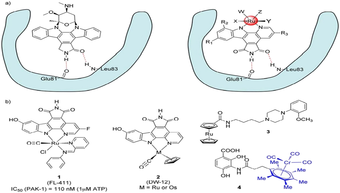 Figure 1:
a) The binding motif of octahedral metal complexes and the natural product staurosporine to the ATP binding site in kinases (magenta). b) Two metal-based kinase inhibitors (1 and 2) from Meggers’ lab, an agonist that selectively targets the dopamine D4 subtype and contains a 6-ruthenocine (3), and a homolog of platensimycin that contains chromium (4). Six stereocenters are substituted for a multi-cyclic organic group in position 4 by the chromium tricarbonyl moiety in blue.