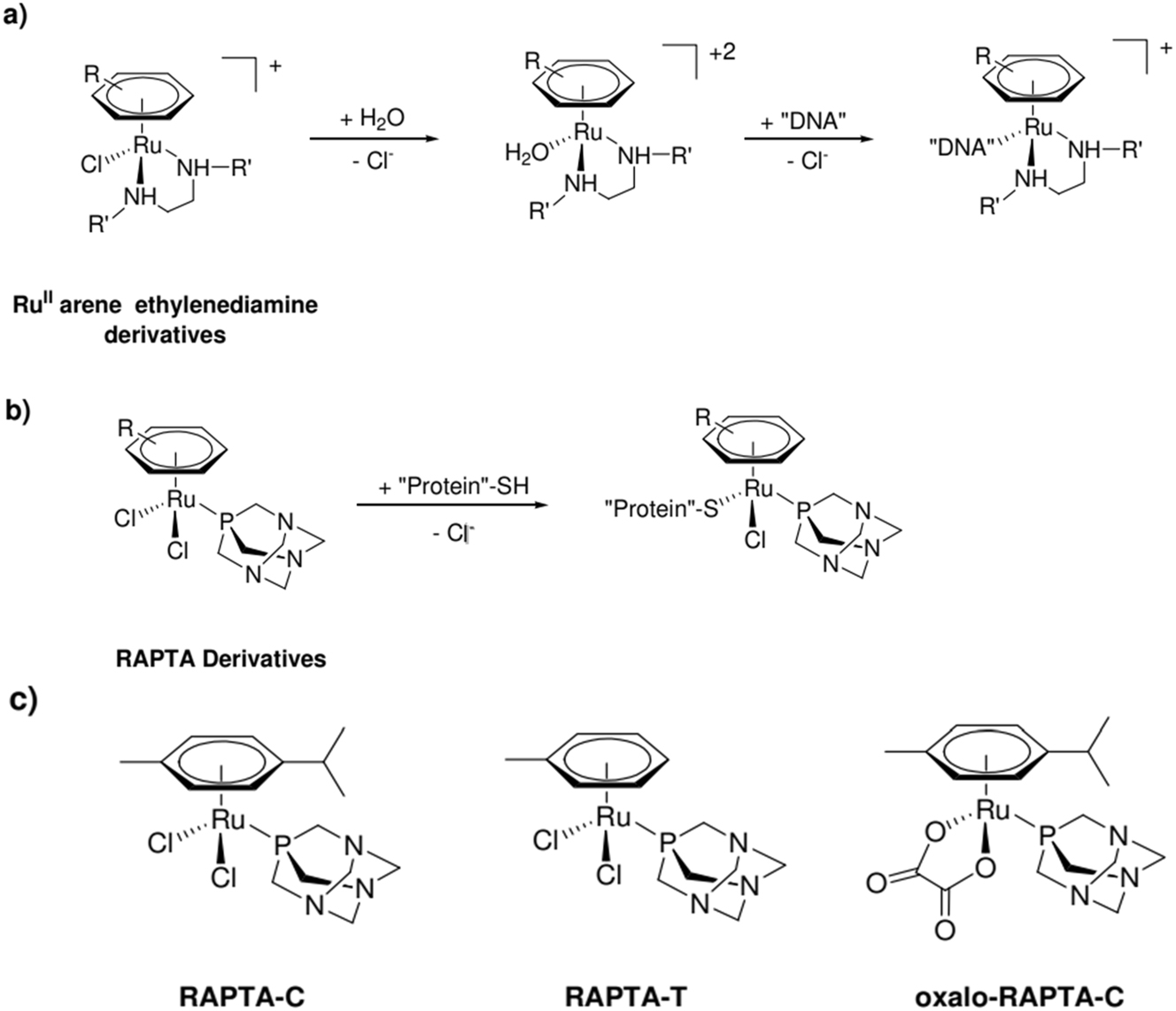 Scheme 1:
a) A simplified depiction of Ru II arene ethylenediamine’s mode of action and b) RAPTA derivatives, emphasizing how the two categories of chemicals have distinct biological objectives; c) RAPTA-C, RAPTA-T, and oxalo-RAPTA-C structures.