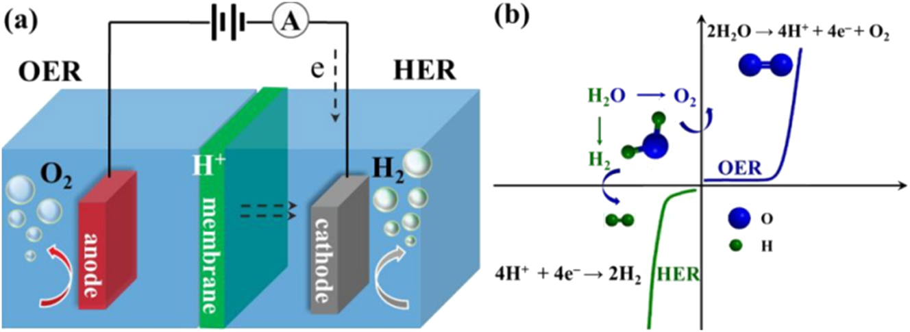 Figure 1: 
Overview of general experimental setup for water splitting. (a) The graphical representation of H2 and O2 generation from water dissociation; (b) polarization curve and half-reaction of water dissociation in acid electrolyte. Reproduced with permission from Ref. 39]. Copyright 2020. The Royal Society of Chemistry.
