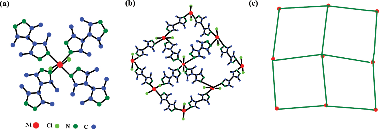 Figure 3: 
The MOF (Ni–Me4bpz) crystal structure’s coordination mode, planar structure, and sql topological structure are depicted in (a), (b), and (c), respectively. Blue is C, dark green is N, light green is Cl, and red is Ni. Redrawn on Chemdraw ultra 21.0 from source.
69
,
72

