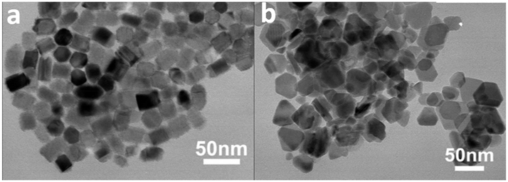 Figure 13:
TEM images of wurtzite CZTS a) nano-prisms and b) nanoplates prepared in DDT/OLA and DDT/OA, respectively (reproduced with permission from Royal Society of Chemistry
193
).