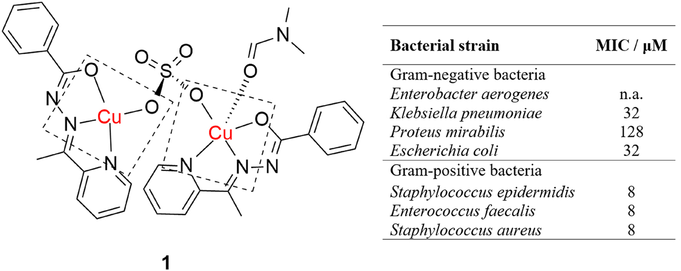 Figure 1: 
Antibacterial activity of a mixed homodinuclear hydrazone copper complex.
