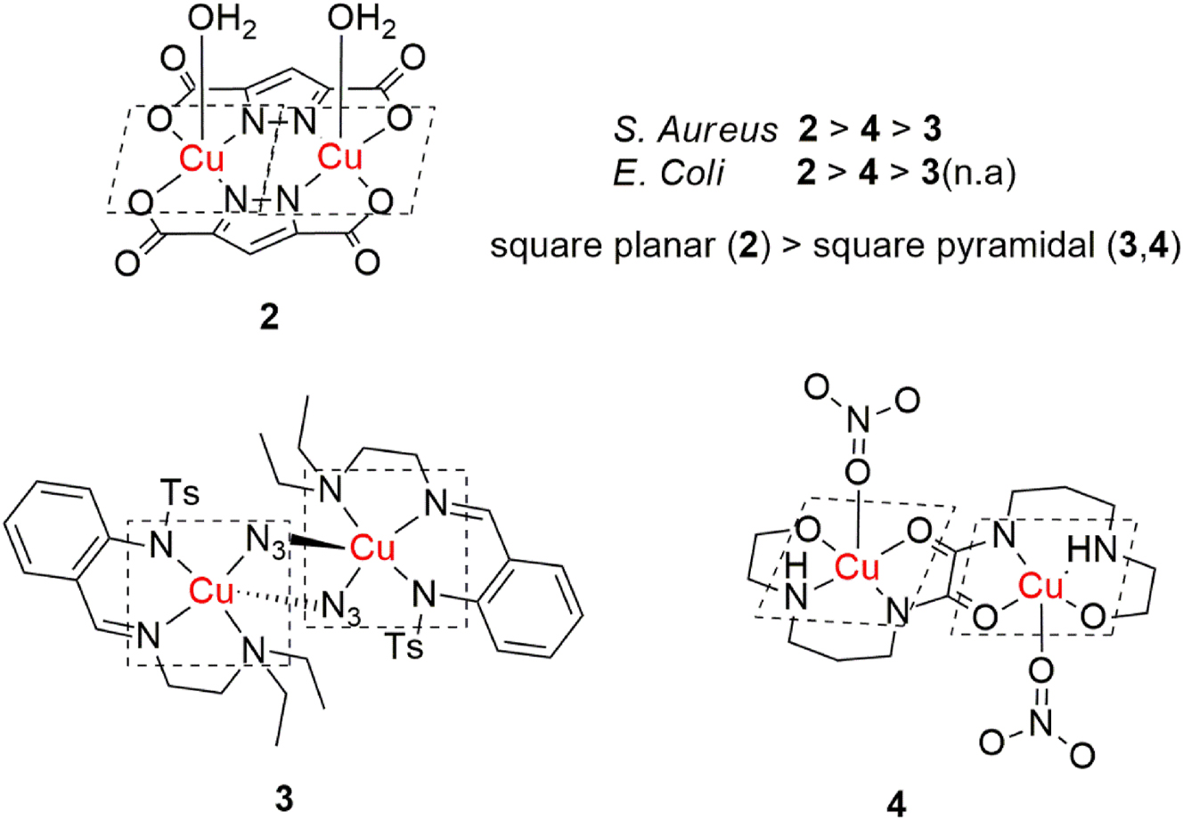 Figure 2: 
Structures and brief SAR of antibacterial dinuclear copper(II) complexes.
