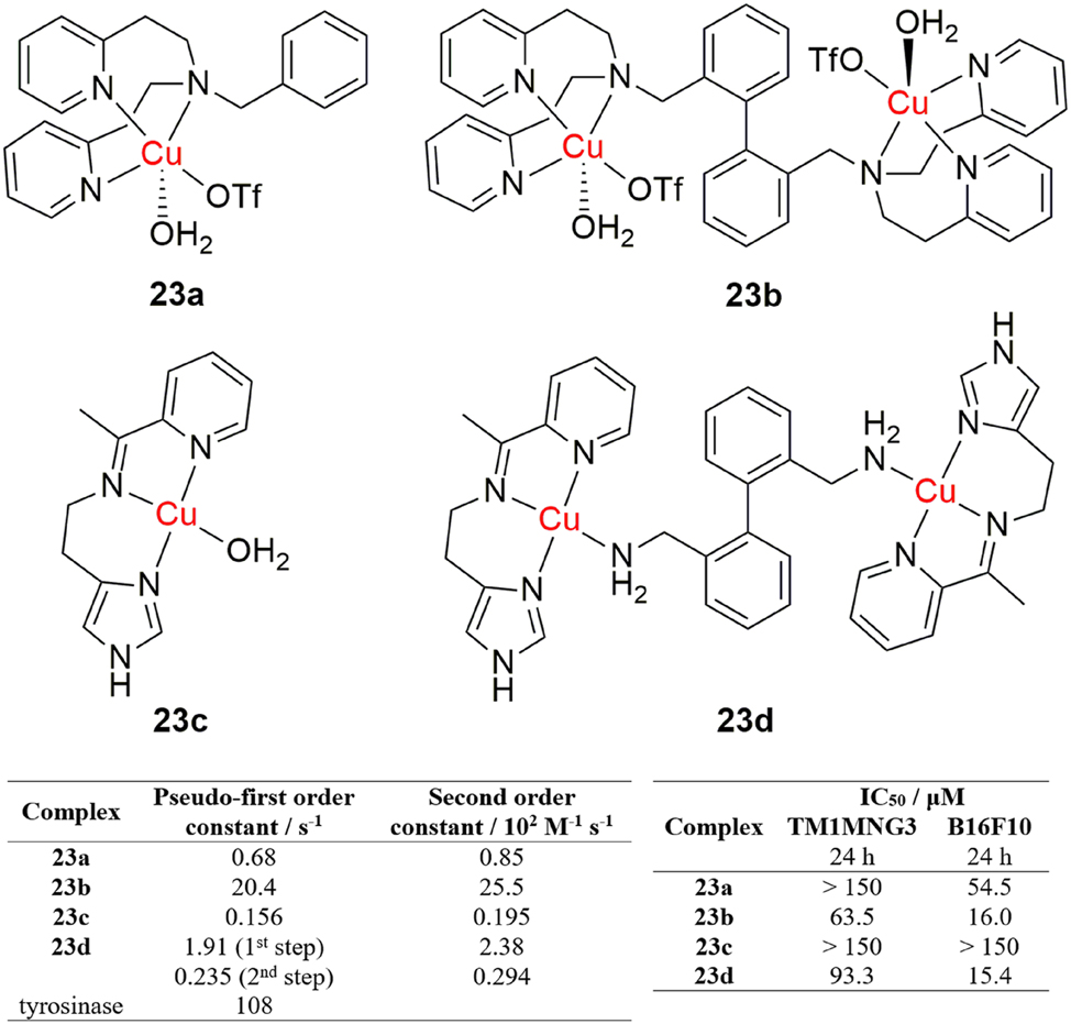 Figure 13: 
Tyrosinase mimicking dinuclear copper complexes with anticancer activity.
