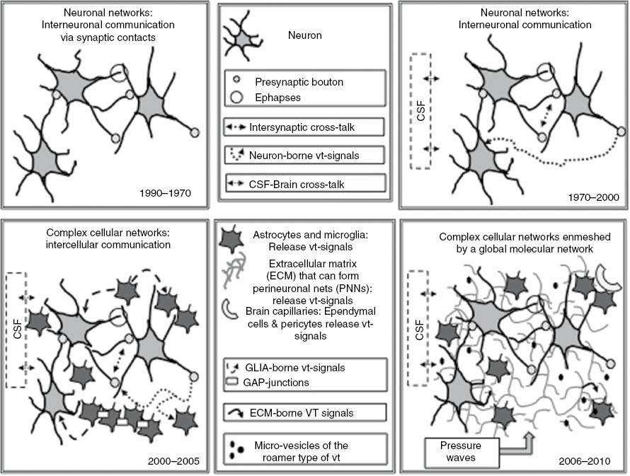 Figure 1: Schematic representations of the historical development of the proposals of brain network organization. For further details, see the text. CSF, cerebrospinal fluid; VT, volume transmission.