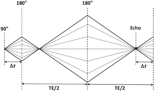 Figure 7: Timing of the 90°-180°-180° RF pulses in the PRESS sequence.The diagonal lines represent the phase progression of representative magnetization vectors at different locations within the final voxel. These evolve differently due to the underlying B0 magnetic field, but they are refocused by the 180° pulses of the PRESS sequence. By separating the 180° pulses by TE/2, refocusing of the magnetization vectors to produce the echo will occur at time TE after the initial 90° excitation pulse. The time Δt between the 90° and 180° pulses does not affect the TE and is usually chosen as short as possible, consistent with the duration requirements of the gradient pulses.