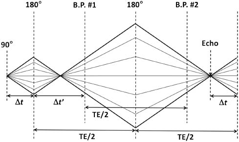 Figure 12: Timing of the 90°-180°-180° RF pulses in the PRESS sequence and timing of the two BASING RF pulses (identified by B.P. #1 and B.P. #2).The diagonal lines represent the phase progression of representative magnetization vectors at different locations within the final voxel, which evolve differently due to the underlying B0 magnetic field but which are refocused by the 180° pulses of the PRESS sequence. By separating the 180° pulses by TE/2, the refocusing of the magnetization vectors to produce the echo will occur at time TE after the initial 90° excitation pulse. The time Δt between the 90° and 180° pulses does not affect the TE and is usually chosen as short as possible. The BASING RF pulses invert the magnetization of only the nuclei that are coupled to the nuclei providing the signal, and they do not affect the refocusing of magnetization at TE. The BASING pulses reverse the precession direction of the J-coupling effect. The figure illustrates the requirement that the two BASING pulses are separated by TE/2, for a sequence whose echo forms at TE. With this timing requirement, the precession due to J-coupling will be one direction (either clockwise or counterclockwise) for the TE/2 period between the two BASING pulses and the opposite direction for TE/2 period before and after these pulses. With the application of the two BASING pulses, the J-coupling effect is nullified.