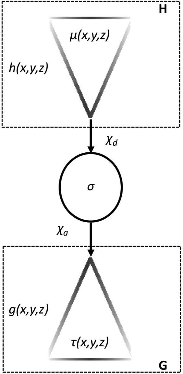Figure 5: Schematic view of the abstract model of neuron.The extracellular space (H) surrounding the dendritic tree hosts a cloud of neurotransmitter [h(x, y, z)]. The surface of the dendritic tree is represented with a gradient of gray levels to indicate its variable sensitivity [μ(x, y, z)] to the transmitter. χd , χa are the transfer functions (see the text) and σ is the activation function. The axonal tree is also represented with shades of gray to indicate the non-homogeneous spatial distribution of its release [described by the function τ(x, y, z)]. It generates in the extracellular space (G) a cloud g(x, y, z) of the released neurotransmitter.