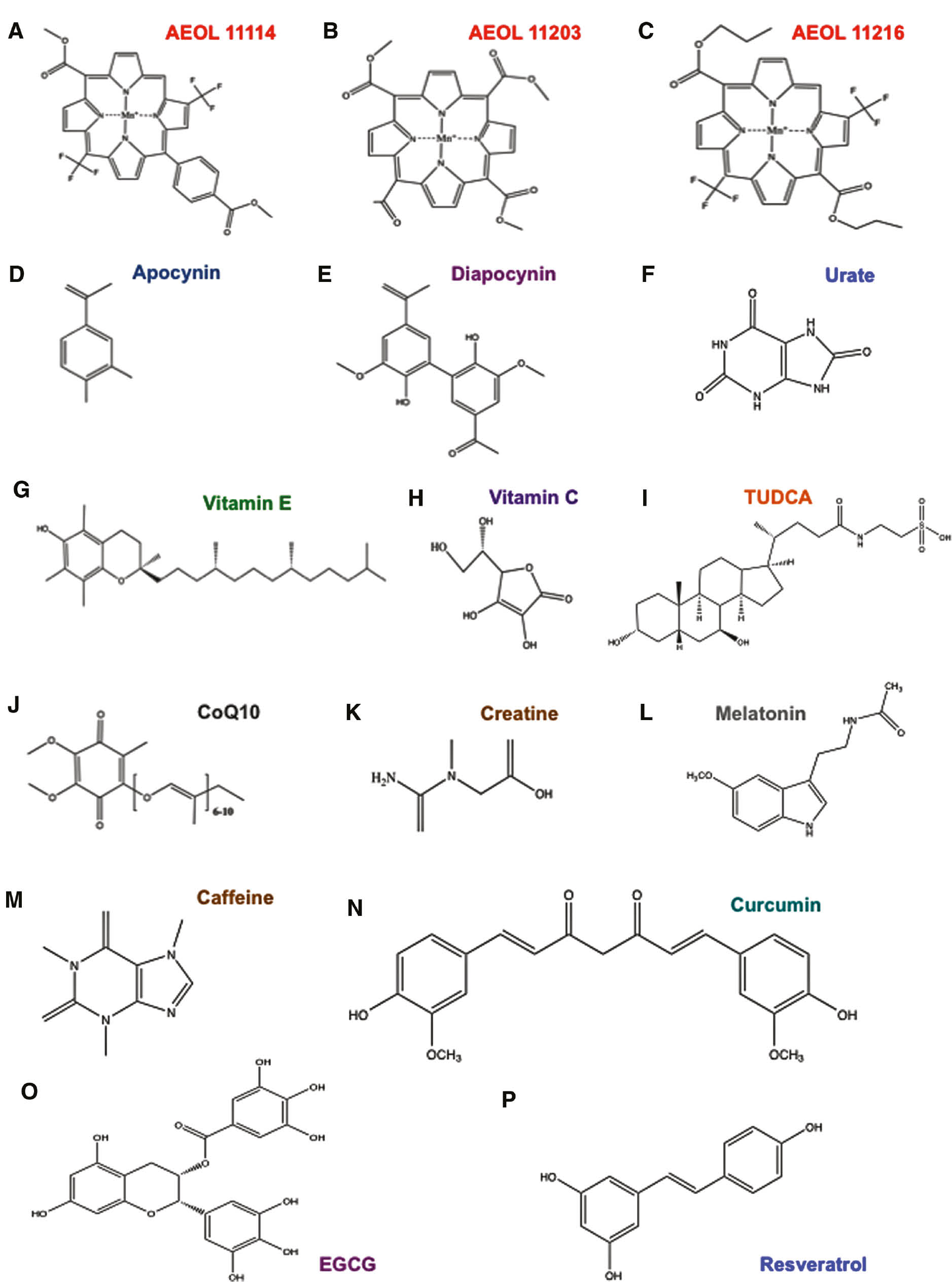 Figure 3: Main general antioxidants.Structures of a series of antioxidants that counteract Parkinsonism, such as AEOL11114 (A), AEOL11203 (B), AEOL11216 (C), apocynin (D), diapocynin (E), urate (F), vitamin E (G), vitamin C (H), TUDCA (I), CoQ10 (J), creatine (K) and melatonin (L), caffeine (M), curcumin (N), EGCG (O), resveratrol (N).