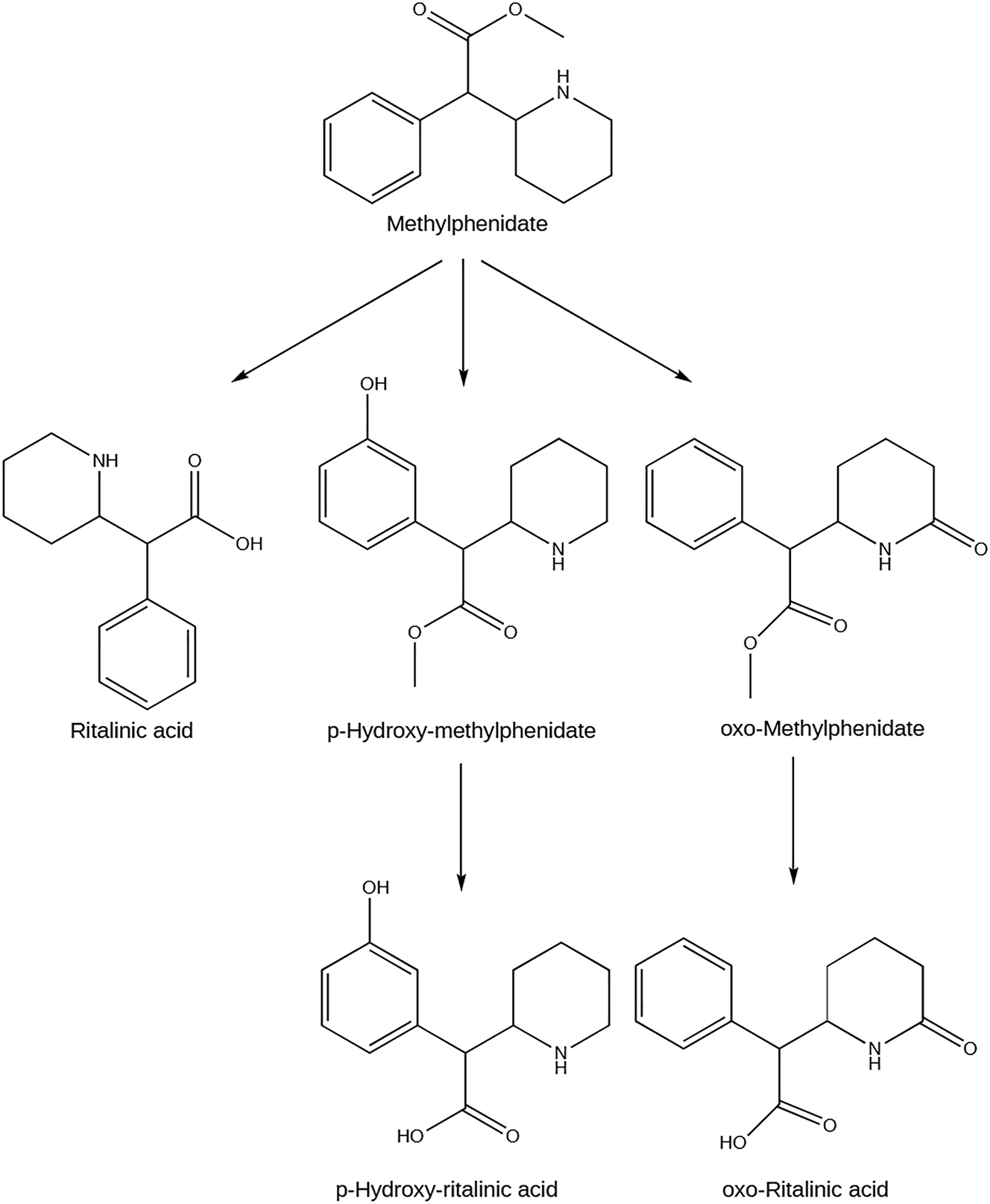 Figure 4:
Metabolism of methylphenidate and its main human metabolites. Created with ChemDraw version 20.0.