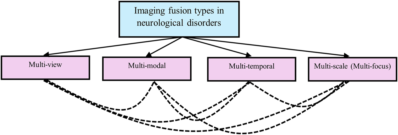 Figure 1:
Imaging fusion types used in neurological studies