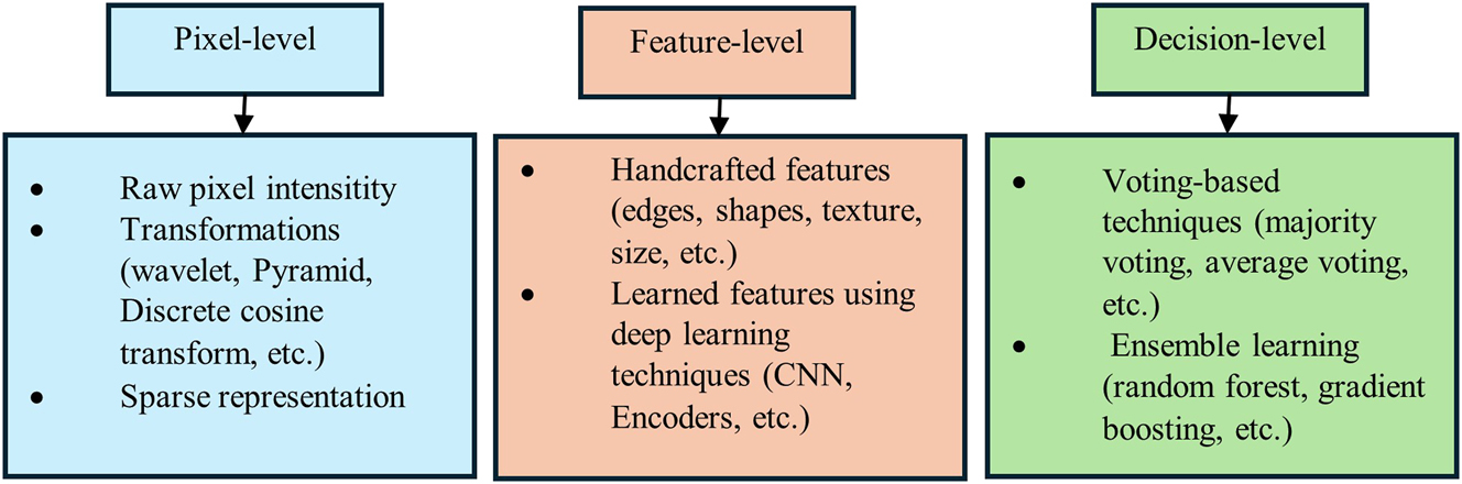 Figure 2:
Classification of imaging fusion techniques based on information hierarchy and temporal integration.