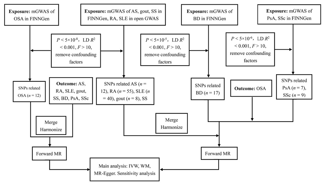 Figure 1 Flowchart of the causal inference between OSA and rheumatic disease. GWAS, genome-wide association studies; LD, linkage disequilibrium; SNPs, single nucleotide polymorphisms; MR, mendelian randomized; IVW, inverse variance weighted; WM, weighted median; OSA, obstructive sleep apnea; AS, ankylosing spondylitis; RA, rheumatoid arthritis; SLE, Systemic lupus erythematosus; SS, Sjogren’s syndrome; BD, Behcet disease; PsA, Psoriatic arthritis; SSc, Systemic sclerosis.