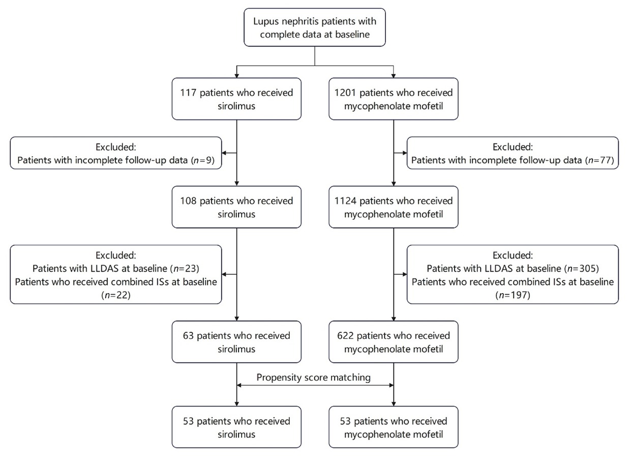 Figure 1 The screening flow chart. LLDAS: lupus low disease activity state.
