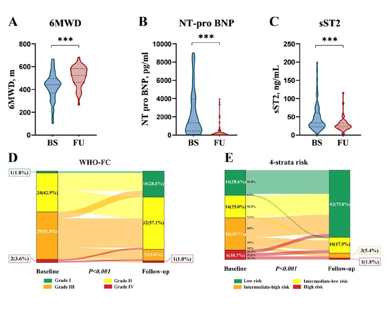 Figure 1 Effect of initial PAH-specific dual oral combination therapy with tadalafil plus ERAs on (A) 6-min walk distance (6MWD), (B) N-terminal pro-B-type natriuretic peptide (NT-pro BNP), (C) soluble suppression of tumorigenicity 2 (sST2), (D) World Health Organization functional class (WHO-FC), and (E) risk stratification at first follow-up visit in patients with CTD-PAH. ***P < 0.001.