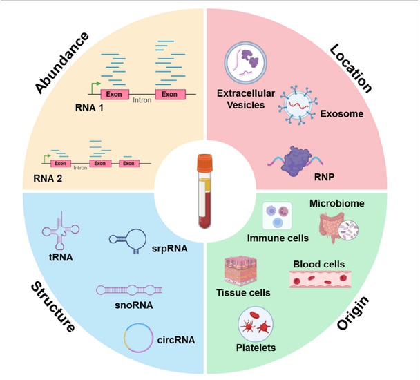 Figure 1 Characteristics of cell-free ncRNAs.