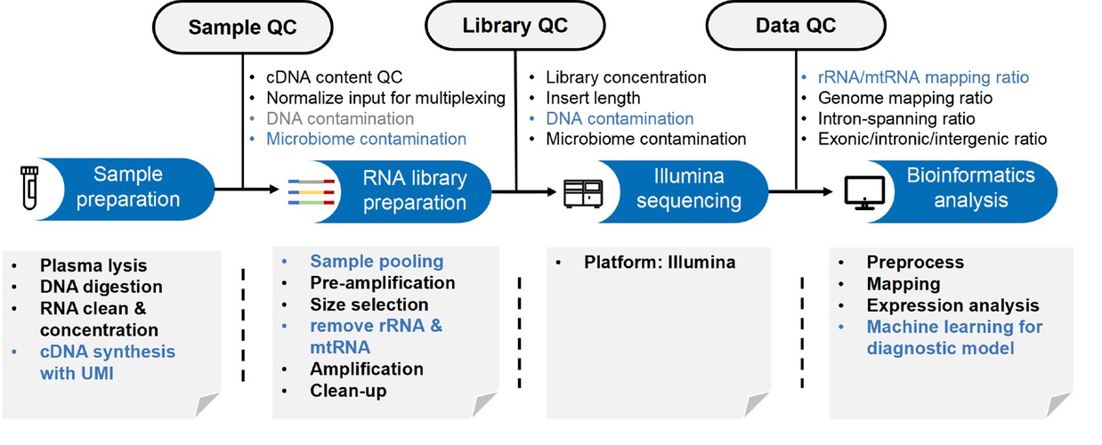 Figure 2 Pipeline of cell-free ncRNA study.