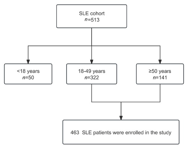 Figure 1 Flow diagram of SLE patient enrollment.
