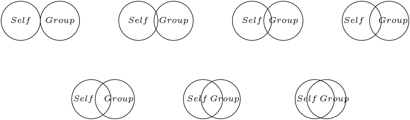Figure 6:
Closeness measure adapted from Aron et al. (1992).