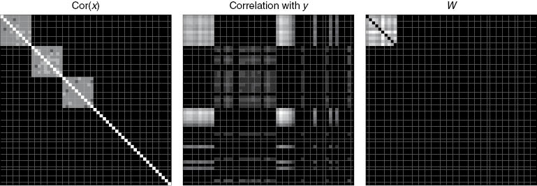 Figure 2: The formation of W=Σ⋅(diag(Cor(x_, y))1Ndiag(Cor(x_, y)))$W = \Sigma  \cdot (diag(Cor({\rm{}}\underline{x},{\rm{ }}y)){1_N}diag(Cor({\rm{}}\underline{x},{\rm{ }}y)))$ for a fictitious simulated module. The leftmost matrix is Σ, the middle matrix is diag(Cor(x_, y))1Ndiag(Cor(x_, y)),$diag(Cor({\rm{}}\underline{x},{\rm{ }}y)){1_N}diag(Cor({\rm{}}\underline{x},{\rm{ }}y)),$ and the rightmost matrix is their element-wise product W.