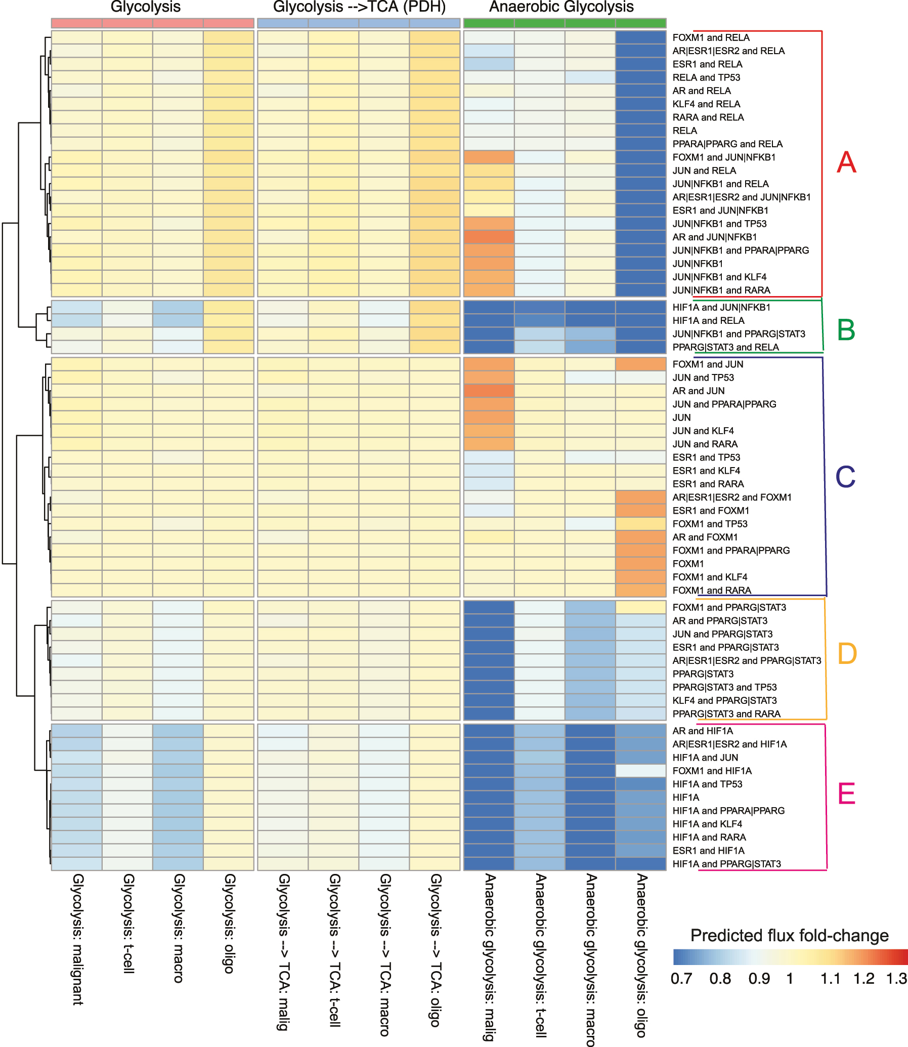 Figure 5: 
Clustering of the predicted relative changes in fluxes when transcription factors and combinations of transcription factors in the network are targeted (rows). There were five distinct clusters observed (A–E). The flux changes were aggregated and are systematically displayed for the malignant, T-cell, macrophage and oligodendrocyte (columns). This ordering is preserved across the different pathways: glycolysis, anaerobic glycolysis and the flux from the glycolytic pathways to the TCA cycle (pyruvate dehydrogenase).
